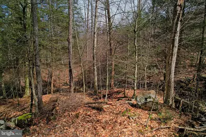 0 Gnegy Church Road, Oakland, MD 21550 - Photo 19