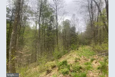 0 Gnegy Church Road, Oakland, MD 21550 - Photo 39