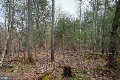 0 Gnegy Church Road, Oakland, MD 21550 - Photo 53