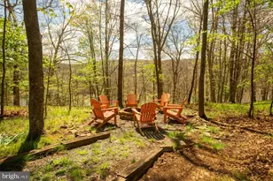 425 Hines Dr, Swanton, MD 21561 - Photo 59