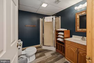 208 Cliff Dr, Oakland, MD 21550 - Photo 45