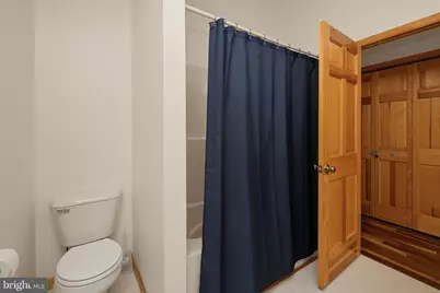 208 Cliff Drive, Oakland, MD 21550 - Photo 59