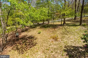 365 Ridge Rd, Swanton, MD 21561 - Photo 19
