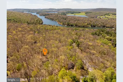 365 Ridge Road, Swanton, MD 21561 - Photo 9