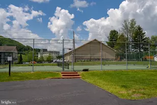 257 Marsh Hill Rd, Mc Henry, MD 21541 - Photo 21