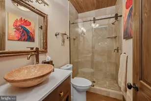 2250 Marsh Hill Rd, Mc Henry, MD 21541 - Photo 87