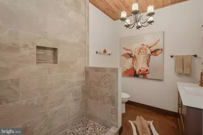 2250 Marsh Hill Road, Mc Henry, MD 21541 - Photo 75