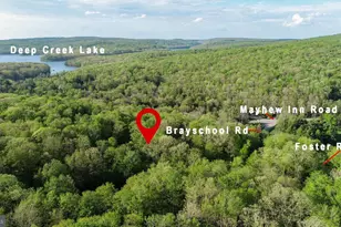 Red Run Heights Rd, Oakland, MD 21550 - Photo 1