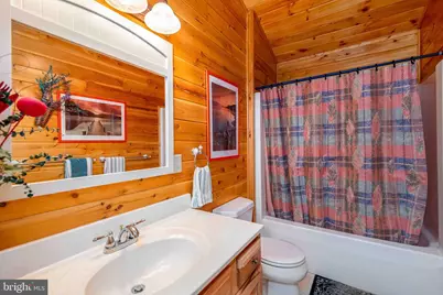 251 Robinwood Drive, Oakland, MD 21550 - Photo 29