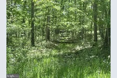 Turkey Neck Road #LOT 12, Swanton, MD 21561 - Photo 9
