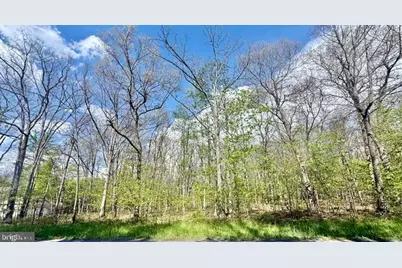 Turkey Neck Road #LOT 12, Swanton, MD 21561 - Photo 5