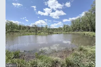 Turkey Neck Road #LOT 12, Swanton, MD 21561 - Photo 23
