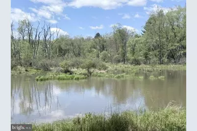 Turkey Neck Road #LOT 12, Swanton, MD 21561 - Photo 25