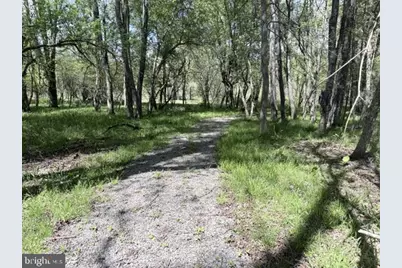 Turkey Neck Road #LOT 12, Swanton, MD 21561 - Photo 23