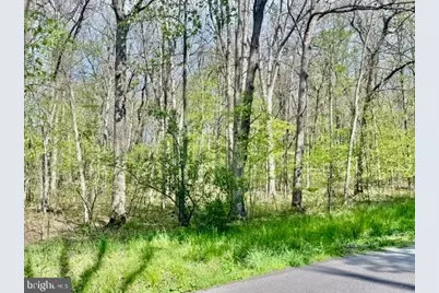 Turkey Neck Road #LOT 12, Swanton, MD 21561 - Photo 3