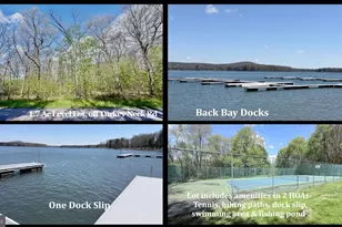 Turkey Neck Rd, Swanton, MD 21561 - Photo 1
