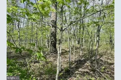 Turkey Neck Road #LOT 12, Swanton, MD 21561 - Photo 15