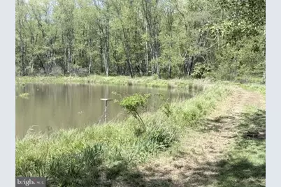 Turkey Neck Road #LOT 12, Swanton, MD 21561 - Photo 19