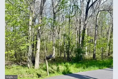 Turkey Neck Road #LOT 12, Swanton, MD 21561 - Photo 11
