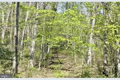 Turkey Neck Road #LOT 12, Swanton, MD 21561 - Photo 13