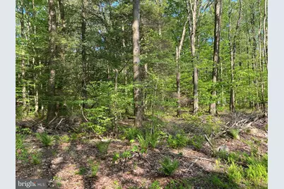 .99 Acre Rock Lodge, Accident, MD 21520 - Photo 7
