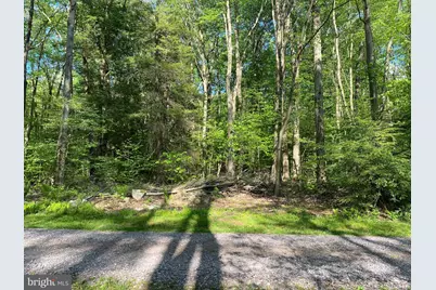 .99 Acre Rock Lodge, Accident, MD 21520 - Photo 3