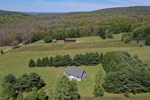 1129 Hemlock Rd, Grantsville, MD 21536 - Photo 41