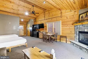 291 Cabin Lodge Road, Mc Henry, MD 21541 - Photo 9