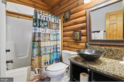 161 Cabin Lodge Road, Mc Henry, MD 21541 - Photo 9