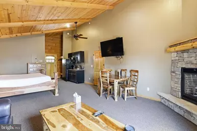 221 Cabin Lodge Road, Mc Henry, MD 21541 - Photo 27