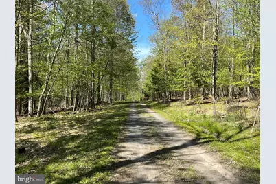 6.89 Acres Woodlands Hill Dr Drive, Oakland, MD 21550 - Photo 3