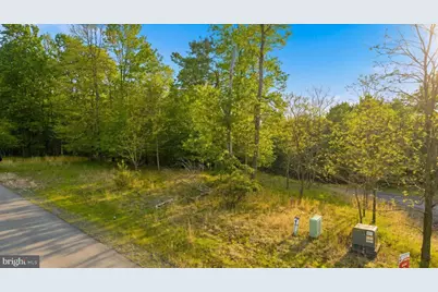Lot 9 Woodlands Hill Lane, Oakland, MD 21550 - Photo 7