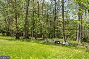 115 Woodmont Ln, Oakland, MD 21550 - Photo 41