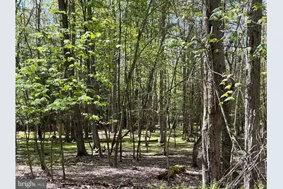 5 Acres Lake Shore Drive, Oakland, MD 21550 - Photo 3
