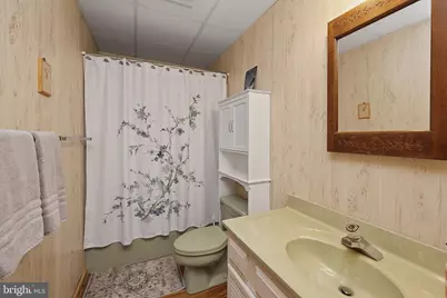 2311 Boy Scout Road, Oakland, MD 21550 - Photo 55