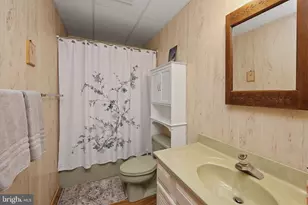 2311 Boy Scout Rd, Oakland, MD 21550 - Photo 55