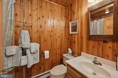 2311 Boy Scout Road, Oakland, MD 21550 - Photo 39
