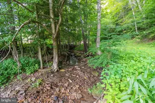 2165 Jennings Rd, Jennings, MD 21536 - Photo 11