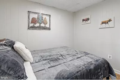 161 Marsh Hill Road, Mc Henry, MD 21541 - Photo 13