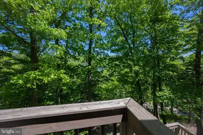 1988 Marsh Hill Road, Mc Henry, MD 21541 - Photo 75