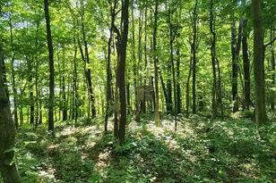 195 Meadow Dr, Swanton, MD 21561 - Photo 21