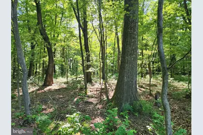 195 Meadow Drive, Swanton, MD 21561 - Photo 19