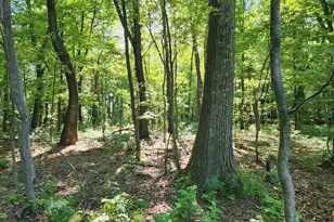 195 Meadow Dr, Swanton, MD 21561 - Photo 19
