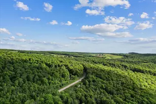 246 Old New Germany Rd, Grantsville, MD 21536 - Photo 47