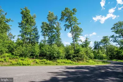 Fox Run Drive, Mc Henry, MD 21541 - Photo 7