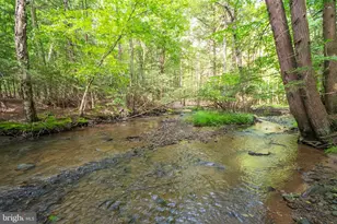 39 S Old Shade Hollow Rd, Grantsville, MD 21536 - Photo 67