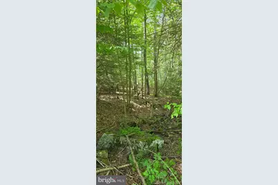 Maple Del Lane, Oakland, MD 21550 - Photo 3