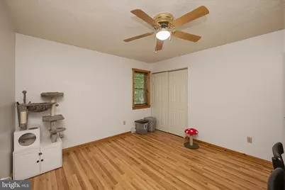 254 Little Mountain Road, Oakland, MD 21550 - Photo 33