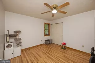 254 Little Mountain Rd, Oakland, MD 21550 - Photo 33