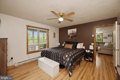 254 Little Mountain Road, Oakland, MD 21550 - Photo 5
